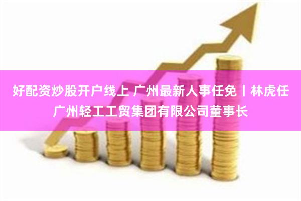 好配资炒股开户线上 广州最新人事任免丨林虎任广州轻工工贸集团有限公司董事长