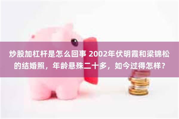 炒股加杠杆是怎么回事 2002年伏明霞和梁锦松的结婚照，年龄悬殊二十多，如今过得怎样？