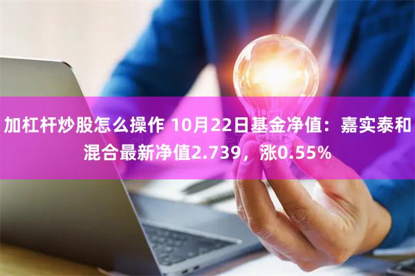 加杠杆炒股怎么操作 10月22日基金净值：嘉实泰和混合最新净值2.739，涨0.55%