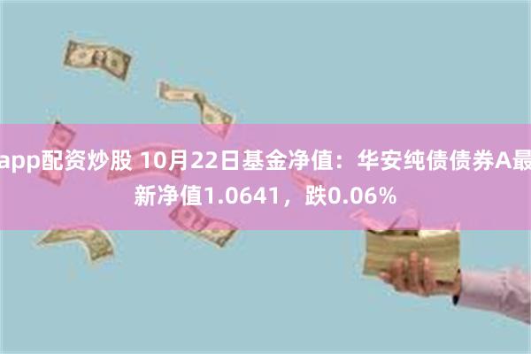 app配资炒股 10月22日基金净值：华安纯债债券A最新净值1.0641，跌0.06%