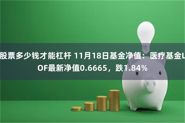 股票多少钱才能杠杆 11月18日基金净值：医疗基金LOF最新净值0.6665，跌1.84%