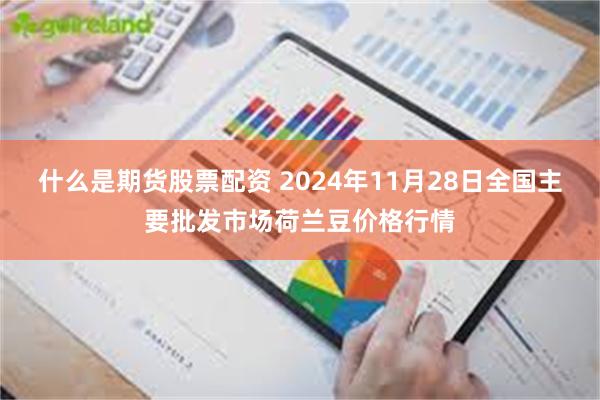 什么是期货股票配资 2024年11月28日全国主要批发市场荷兰豆价格行情