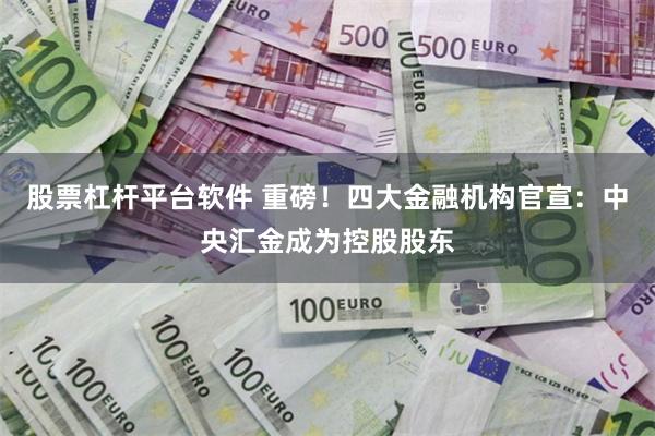 股票杠杆平台软件 重磅！四大金融机构官宣：中央汇金成为控股股东