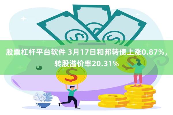 股票杠杆平台软件 3月17日和邦转债上涨0.87%，转股溢价率20.31%